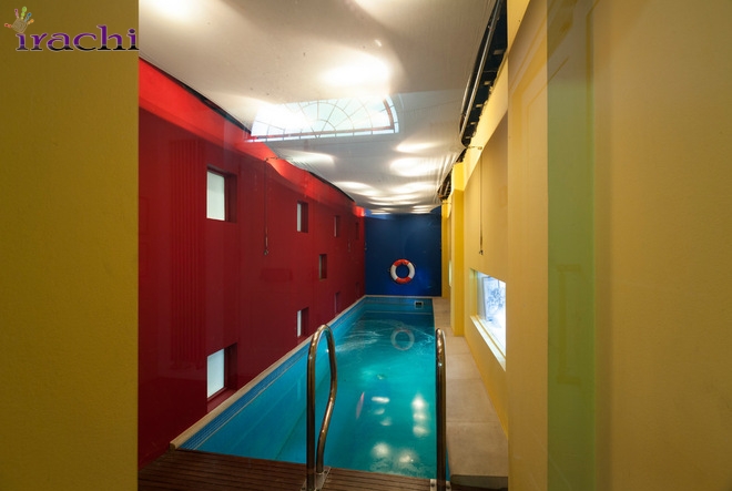 نگ ها و خط ها