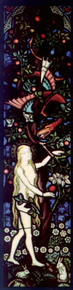 تاریخچه استین گلاس