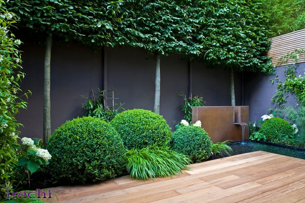 حس نیمه تاریک در خانه