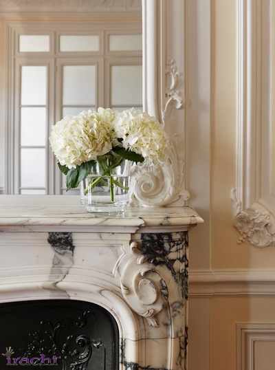 ده عنصر در آپارتمان های به سبک پاریسی